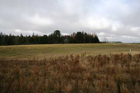 Lot 5 Fern Ln, Deer Park, WA 99006