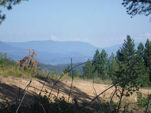 Lot 4 Moose Ridge Way, Loon Lake, WA 99148