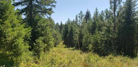 3900 State Rd, Loon Lake, WA 99148