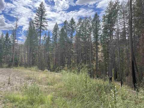 Lot 11 Rail Canyon Rd, Springdale, WA 99173