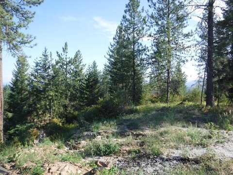 Lot 5 Moose Ridge Way, Loon Lake, WA 99148