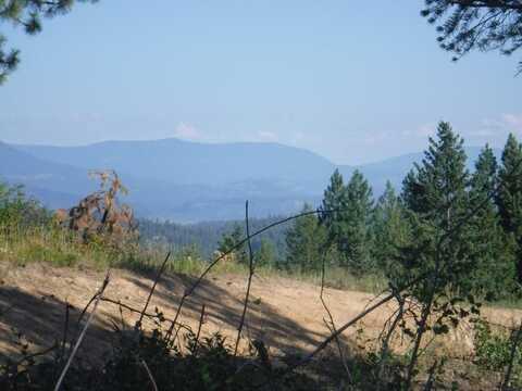 Lot 3 Moose Ridge Way, Loon Lake, WA 99148