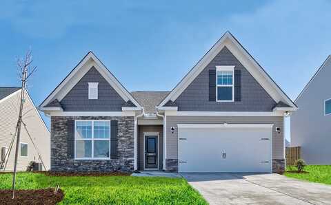 16 Harvest Lamp Court, Elgin, SC 29045