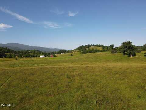 Tbd Laws Rd, Limestone, TN 37681