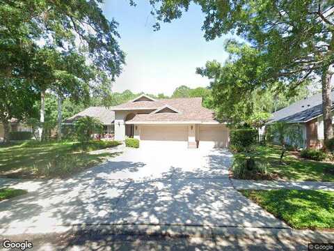 Tantallon, TAMPA, FL 33647