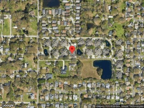 Umber, TAMPA, FL 33624