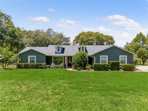 Appaloosa, MONTVERDE, FL 34756