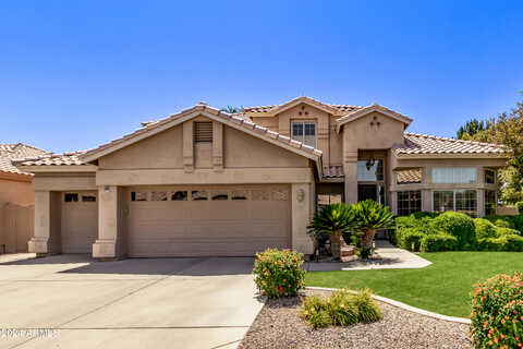 Laguna, GILBERT, AZ 85233