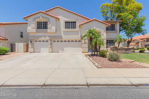 Larkspur, GLENDALE, AZ 85304