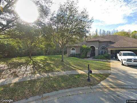 Moreno, PALM HARBOR, FL 34685