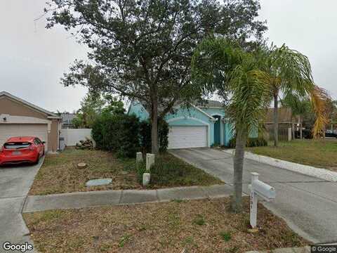 Hunter, TARPON SPRINGS, FL 34689