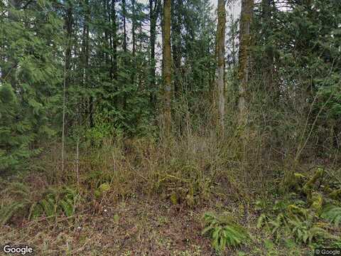 Jansky Rd E, Graham, WA 98360