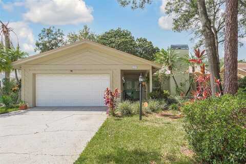 Cascade, CLEARWATER, FL 33761