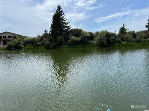 Mt. Olympus Avenue Se, Ocean Shores, WA 98569