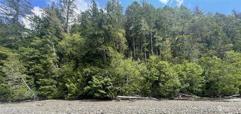 Ne Capstan Rock Rd, Tahuya, WA 98588