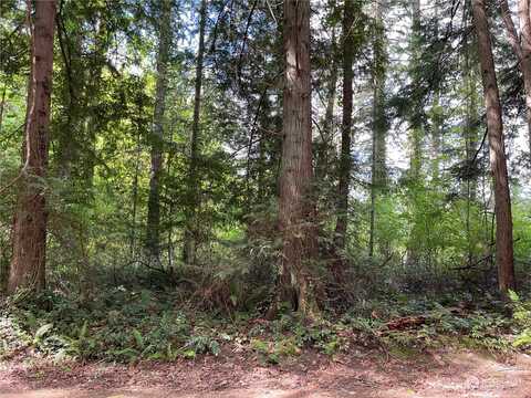 Lot 8 Ne Sanwick Place, Bainbridge Island, WA 98110