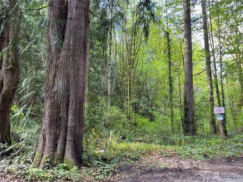 Lot 7 Ne Sanwick Place, Bainbridge Island, WA 98110