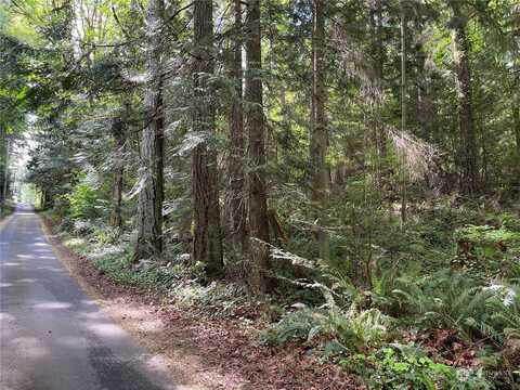 Lot 6 Ne Sanwick Place, Bainbridge Island, WA 98110