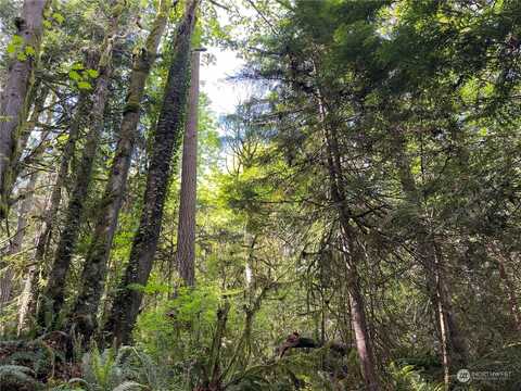 Lot 5 Ne Sanwick Place, Bainbridge Island, WA 98110