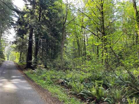 Lot 4 Ne Sanwick Place, Bainbridge Island, WA 98110