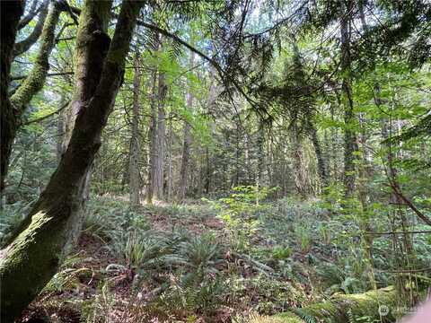 Lot 3 Ne Sanwick Place, Bainbridge Island, WA 98110