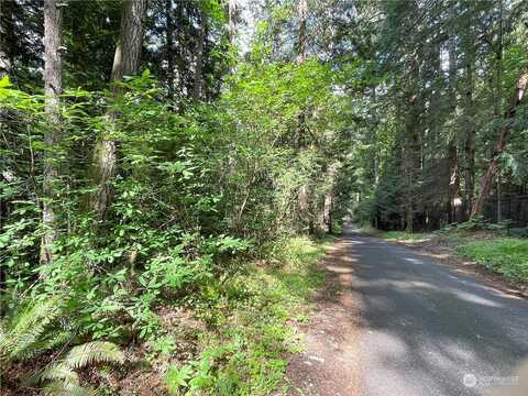 Lot 2 Ne Sanwick Place, Bainbridge Island, WA 98110