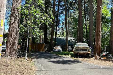 Elm, POLLOCK PINES, CA 95726