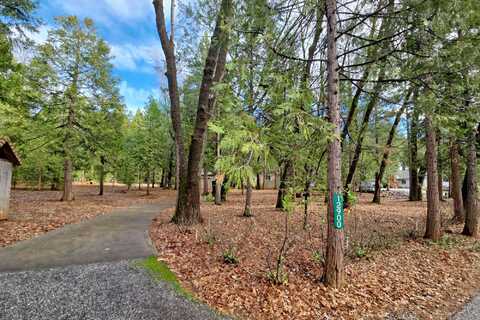 Madrone Forest, NEVADA CITY, CA 95959