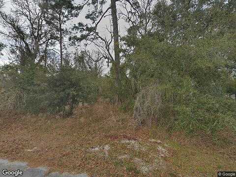 Rocky, SPRING HILL, FL 34609