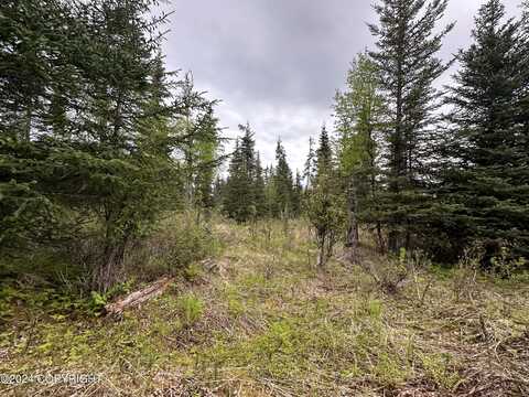 L4 Brillo Road, Anchor Point, AK 99556