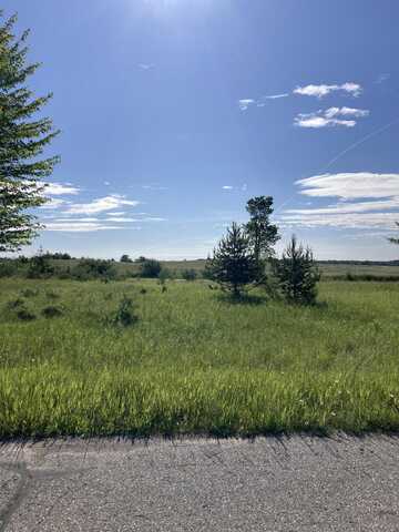 Lot 511 Highlanders, Gladwin, MI 48624