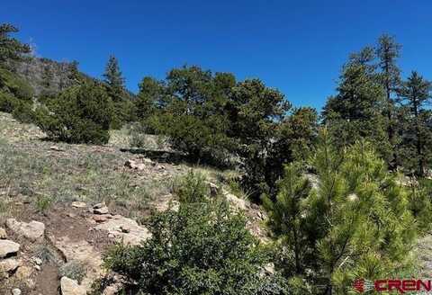 0 Lot 33 Little Bear Circle, South Fork, CO 81154