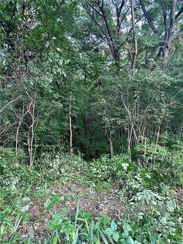 Lot 14 Forest Lane, Van Meter, IA 50261