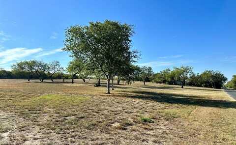 365 County Road 175, Sandia, TX 78383