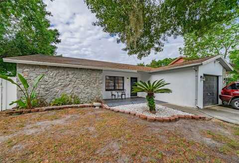 11309 PLUMTREE COURT, RIVERVIEW, FL 33569