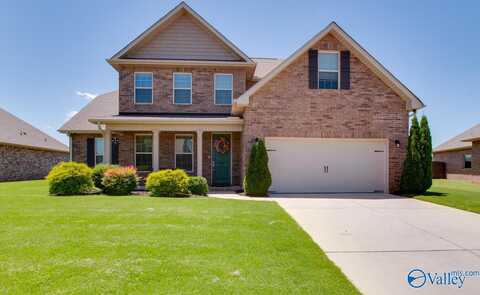 116 Cove Brook Drive, Meridianville, AL 35759