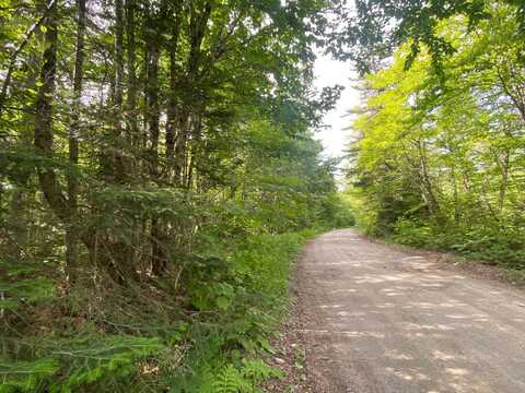 lot 9 Signal Mountain Road, Millsfield, NH 03579