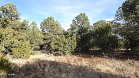 833 COUNTY ROAD 3144, Vernon, AZ 85940