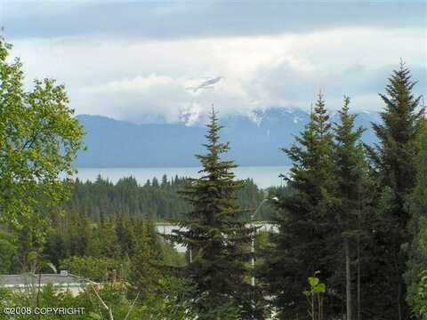 4430 E Hill Road, Homer, AK 99603