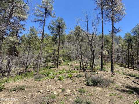 1001 S turkey trot Trail, Prescott, AZ 86303