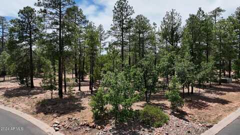 4981 SILVER MOUNTAIN Drive, Lakeside, AZ 85929