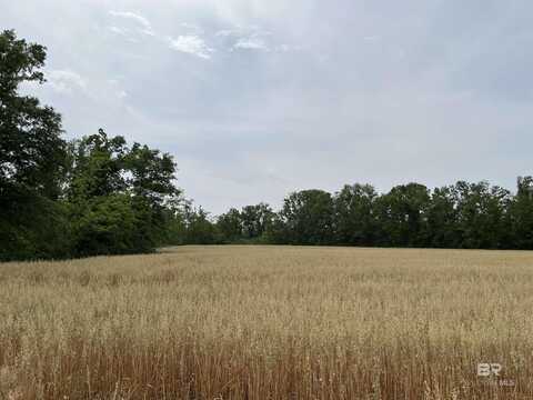 0 S County Road 34, Summerdale, AL 36580