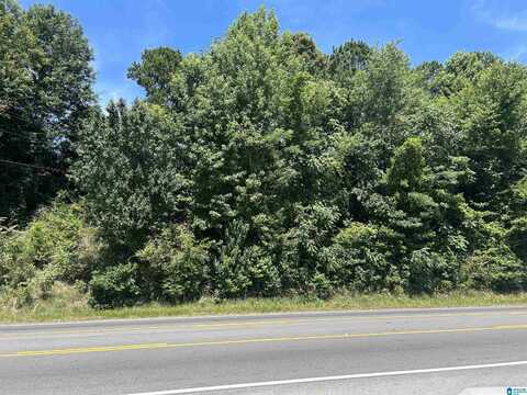 0 HIGHWAY 431, ROANOKE, AL 36274