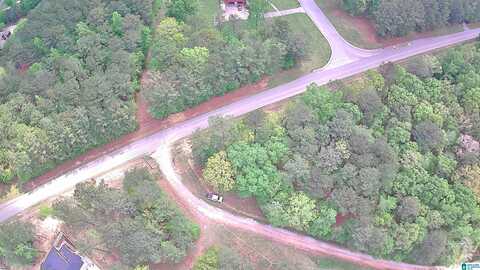 0 HIGHWAY 69, CHELSEA, AL 35043