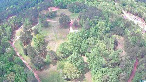 0 HIGHWAY 69, CHELSEA, AL 35043
