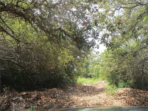 Deberry Ave, Aransas Pass, TX 78336