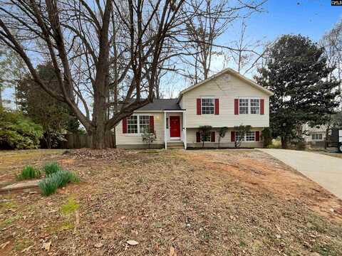 112 Alderwood Court, Lexington, SC 29072