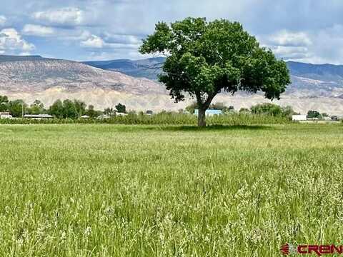 60092 Falcon Road, Montrose, CO 81425