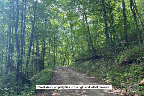 Lot 3 Sharons Road, Franklin, NC 28734