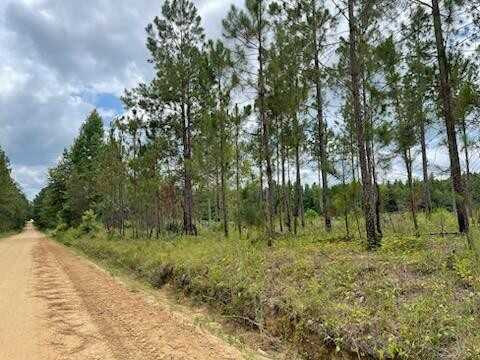 0 Gooch Rd (Lot C), Eastman, GA 31023